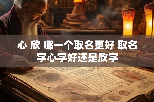 心 欣 哪一个取名更好 取名字心字好还是欣字