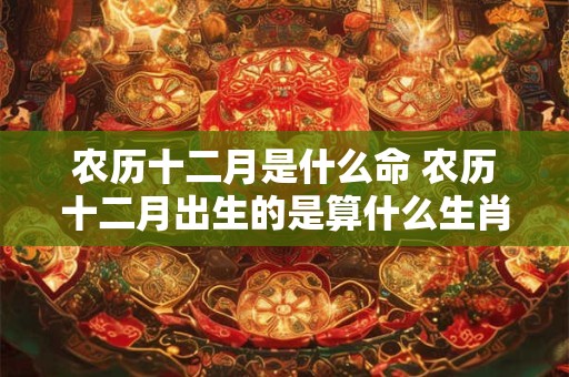 农历十二月是什么命 农历十二月出生的是算什么生肖