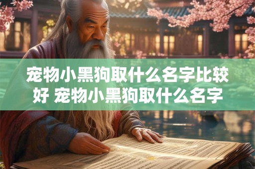 宠物小黑狗取什么名字比较好 宠物小黑狗取什么名字比较好听点