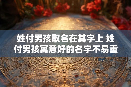 姓付男孩取名在其字上 姓付男孩寓意好的名字不易重名
