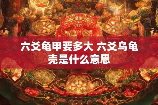 六爻龟甲要多大 六爻乌龟壳是什么意思