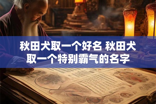 秋田犬取一个好名 秋田犬取一个特别霸气的名字