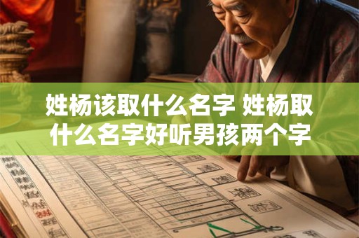 姓杨该取什么名字 姓杨取什么名字好听男孩两个字