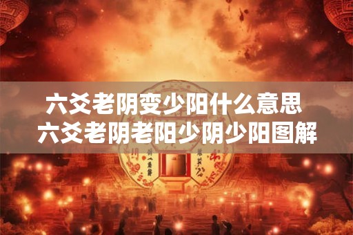 六爻老阴变少阳什么意思 六爻老阴老阳少阴少阳图解