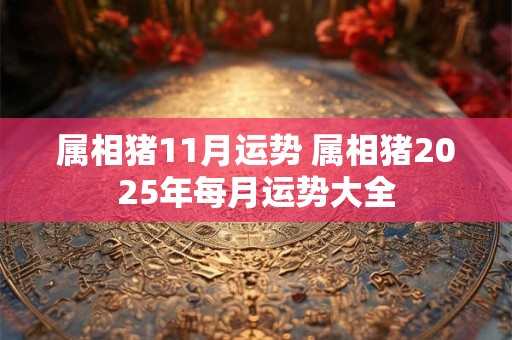 属相猪11月运势 属相猪2025年每月运势大全