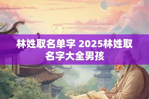 林姓取名单字 2025林姓取名字大全男孩