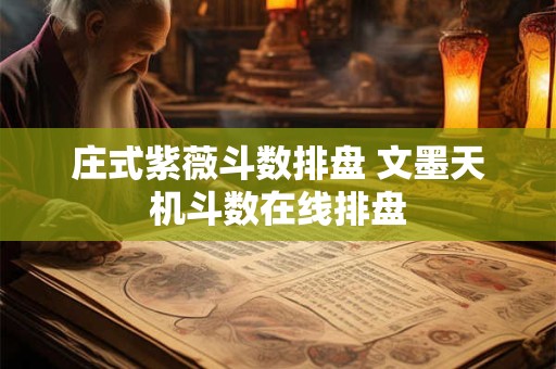 庄式紫薇斗数排盘 文墨天机斗数在线排盘