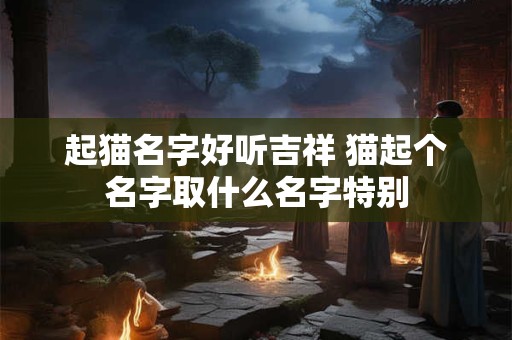 起猫名字好听吉祥 猫起个名字取什么名字特别