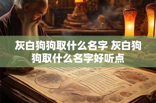 灰白狗狗取什么名字 灰白狗狗取什么名字好听点
