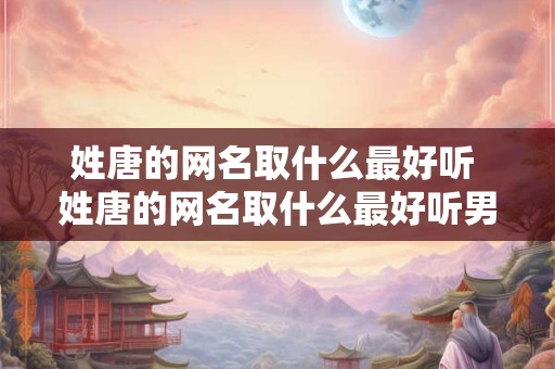 姓唐的网名取什么最好听 姓唐的网名取什么最好听男生