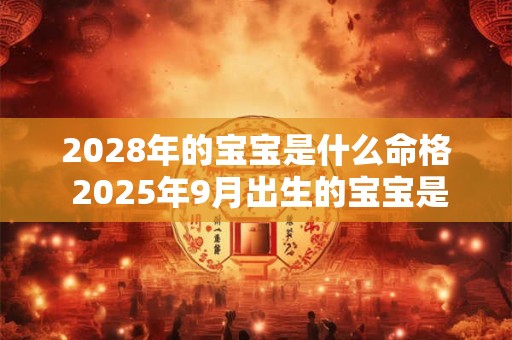 2028年的宝宝是什么命格 2025年9月出生的宝宝是什么命格
