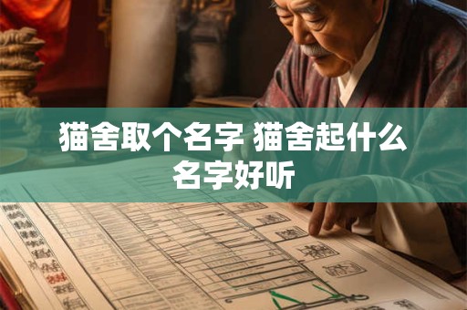 猫舍取个名字 猫舍起什么名字好听
