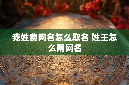 我姓费网名怎么取名 姓王怎么用网名