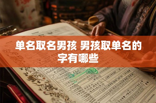 单名取名男孩 男孩取单名的字有哪些