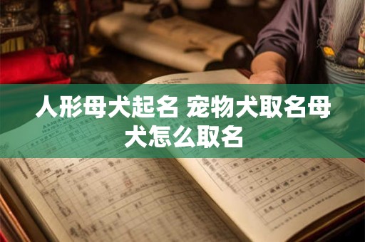 人形母犬起名 宠物犬取名母犬怎么取名