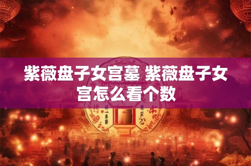 紫薇盘子女宫墓 紫薇盘子女宫怎么看个数