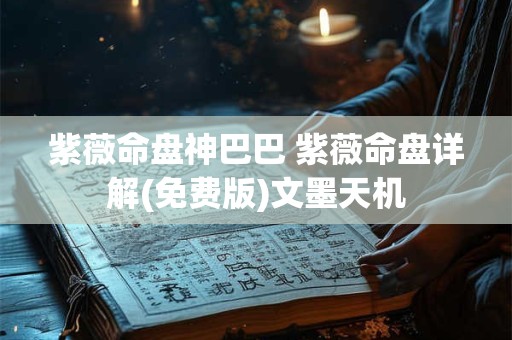 紫薇命盘神巴巴 紫薇命盘详解(免费版)文墨天机