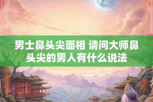 男士鼻头尖面相 请问大师鼻头尖的男人有什么说法