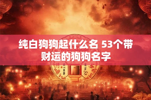 纯白狗狗起什么名 53个带财运的狗狗名字