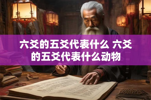 六爻的五爻代表什么 六爻的五爻代表什么动物