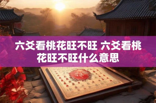 六爻看桃花旺不旺 六爻看桃花旺不旺什么意思