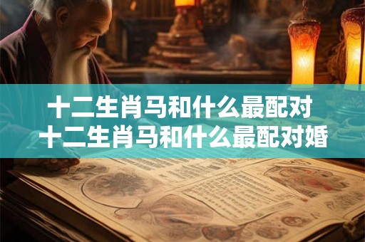 十二生肖马和什么最配对 十二生肖马和什么最配对婚姻