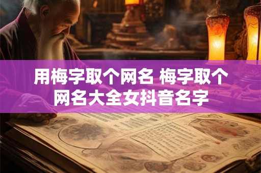 用梅字取个网名 梅字取个网名大全女抖音名字