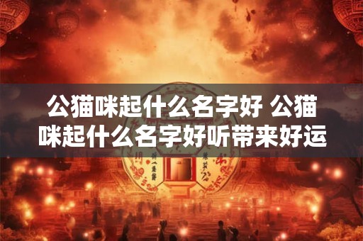 公猫咪起什么名字好 公猫咪起什么名字好听带来好运的