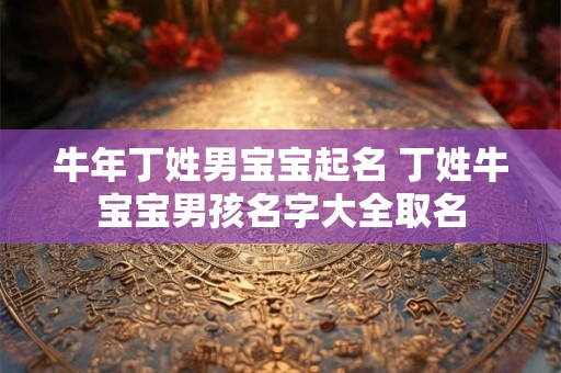 牛年丁姓男宝宝起名 丁姓牛宝宝男孩名字大全取名