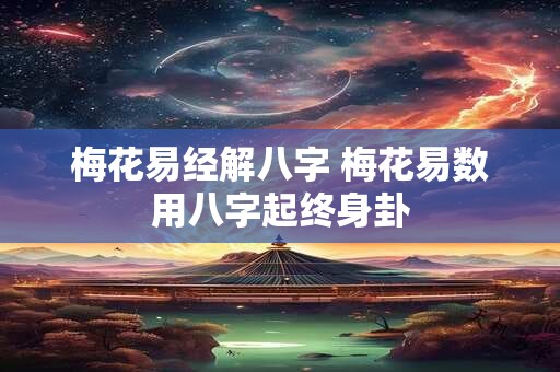 梅花易经解八字 梅花易数用八字起终身卦