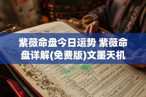 紫薇命盘今日运势 紫薇命盘详解(免费版)文墨天机