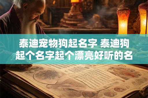 泰迪宠物狗起名字 泰迪狗起个名字起个漂亮好听的名字