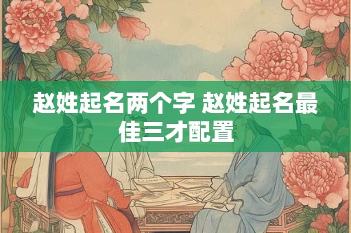 赵姓起名两个字 赵姓起名最佳三才配置