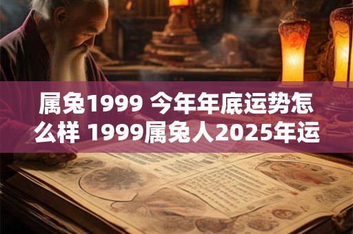 属兔1999 今年年底运势怎么样 1999属兔人2025年运势运程每月运程