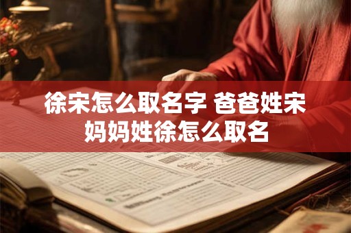 徐宋怎么取名字 爸爸姓宋妈妈姓徐怎么取名