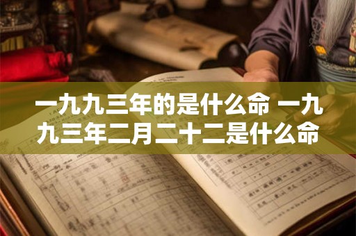 一九九三年的是什么命 一九九三年二月二十二是什么命