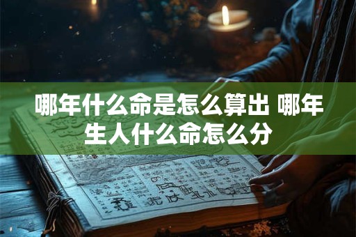 哪年什么命是怎么算出 哪年生人什么命怎么分