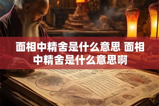 面相中精舍是什么意思 面相中精舍是什么意思啊