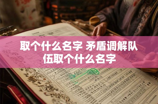 取个什么名字 矛盾调解队伍取个什么名字