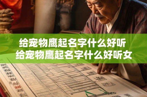 给宠物鹰起名字什么好听 给宠物鹰起名字什么好听女生