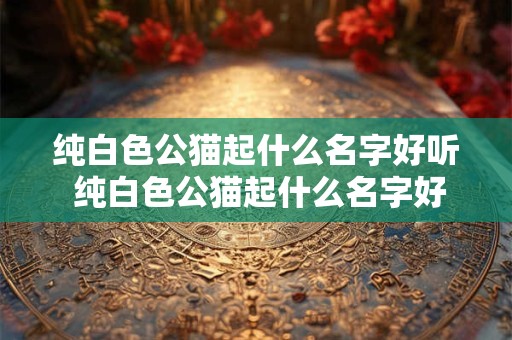 纯白色公猫起什么名字好听 纯白色公猫起什么名字好听一点
