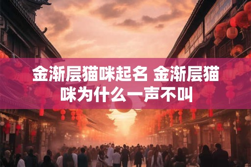金渐层猫咪起名 金渐层猫咪为什么一声不叫