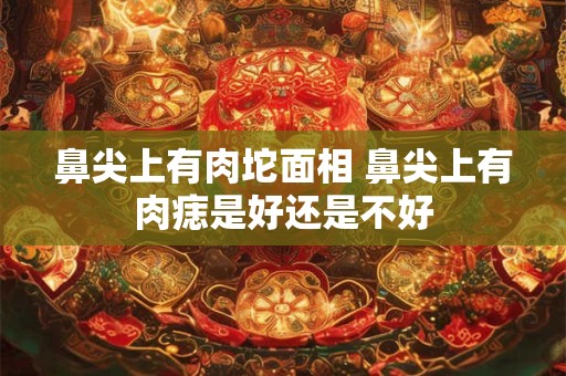 鼻尖上有肉坨面相 鼻尖上有肉痣是好还是不好