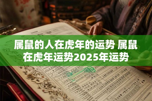 属鼠的人在虎年的运势 属鼠在虎年运势2025年运势