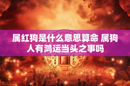 属红狗是什么意思算命 属狗人有鸿运当头之事吗