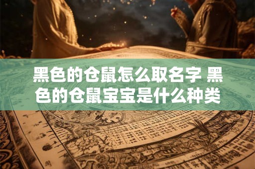 黑色的仓鼠怎么取名字 黑色的仓鼠宝宝是什么种类