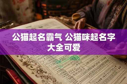公猫起名霸气 公猫咪起名字大全可爱