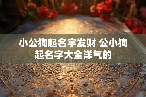 小公狗起名字发财 公小狗起名字大全洋气的