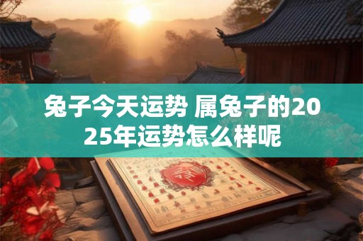 兔子今天运势 属兔子的2025年运势怎么样呢
