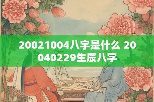 20021004八字是什么 20040229生辰八字